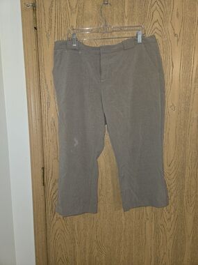 Daisy Fuentes Taupe Capris